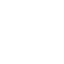 v0